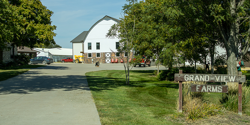 Iowa Farm Uses Wireless Cameras to Protect its Livestock